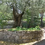 Larry Holiday home San Feliciano