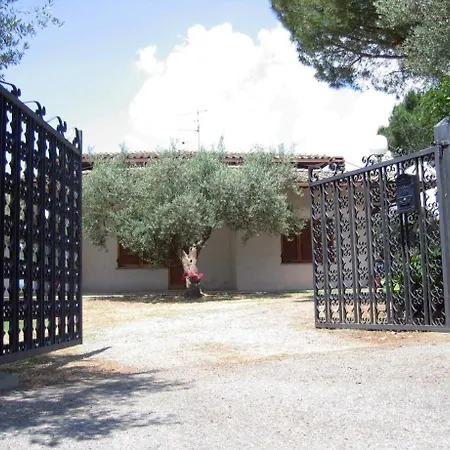 Larry * San Feliciano