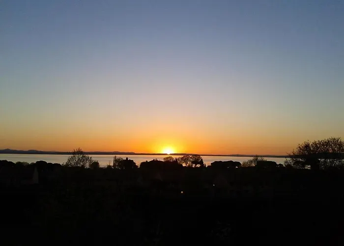 Larry * San Feliciano